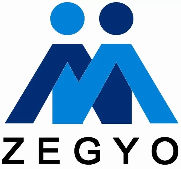 Логотип Zegyo